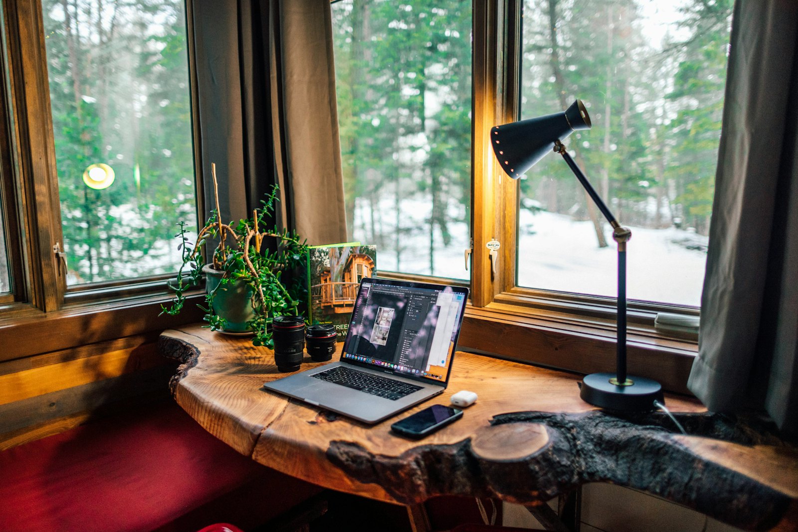 A laptop on a wooden desk by a window, with a lamp and plants